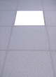 acoustic ceiling with light
