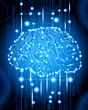 cyborg brain