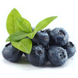 Foto: berries berries
