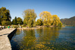 Ufer Tegernsee Herbst Gelb Orange Blätter fallen