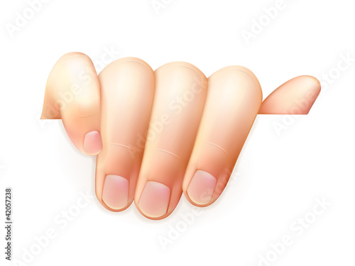Vektor: Hand holding paper Hand holding paper