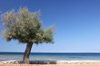 Vista mare Marzamemi