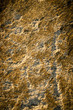 Rock texture surface