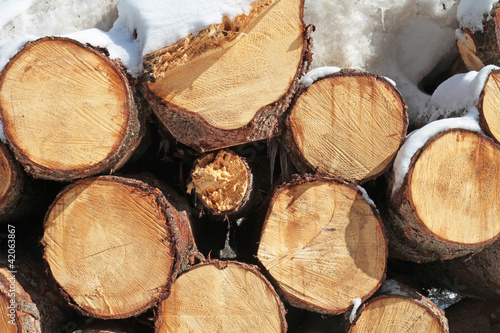 Photo: Holzstämme im Winter Holzstämme im Winter