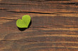 canvas print picture - Kleeblatt auf Holz