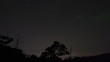 tree timelapse