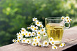 Kamillentee, Chamomile tea