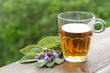 canvas print picture - Salbeitee, Sage tea