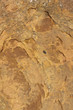 Texture of rocks, stones compacted