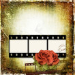 Grunge background with film frame and roses