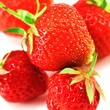 Erdbeeren vom Biobauer