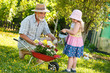 Photo: Happy grandfather with his granddaughter in the garden Happy grandfather with his granddaughter in the garden