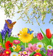 floral background