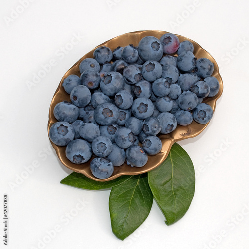 Foto: Heidelbeeren - Vaccinium Heidelbeeren - Vaccinium