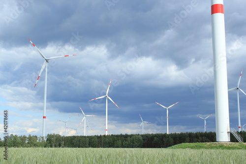Photo: Windpark im Getreidefeld Windpark im Getreidefeld