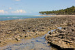 Coral reefs in Porto de Galinhas Beach - BRAZIL