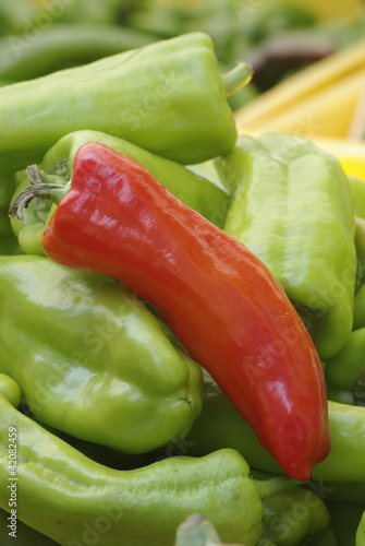 Photo: Red and green peppers for sale Red and green peppers for sale