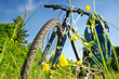 Trekkingbike Pause