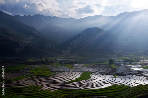 Photo: Terraced rice fields Terraced rice fields