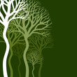 Abstract tree4