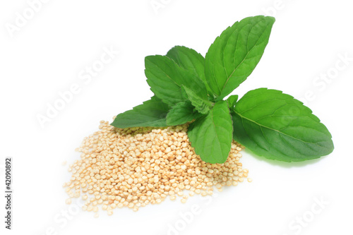 Photo: Quinoa et menthe Quinoa et menthe