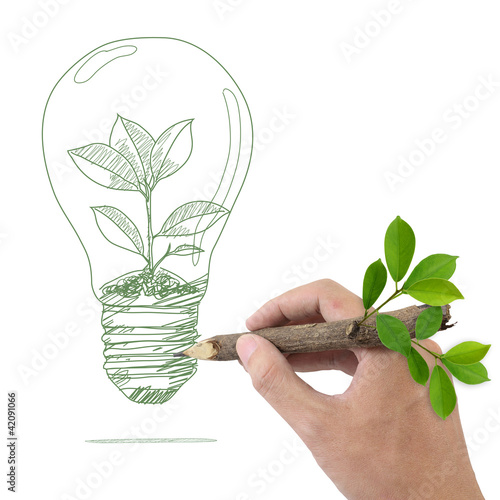 Photo: Male hand drawing tree in a light bulb. Male hand drawing tree in a light bulb.