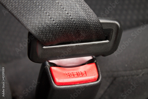 Photo: Seat belt Seat belt