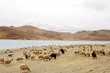 Landscape in Tibet