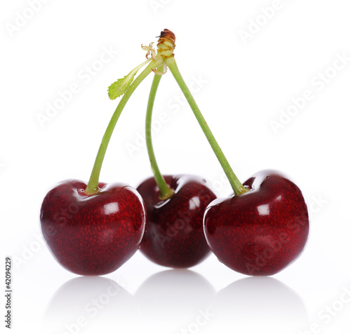 Photo: cherry cherry