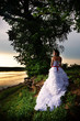 Photo: Bride standing at riverside under the tree at sunset Bride standing at riverside under the tree at sunset