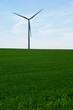 Eolienne, ciel et champ