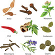 set of different spices
