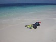 snorkeling set on beach