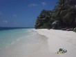snorkeling set on beach