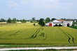 pianura padana - campi di grano