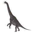 Brachiosaurus
