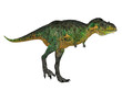 Aucasaurus