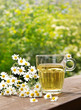 Kamillentee, Chamomile tea