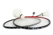racket is a badminton and shuttlecock