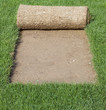 Grass Carpet Cover