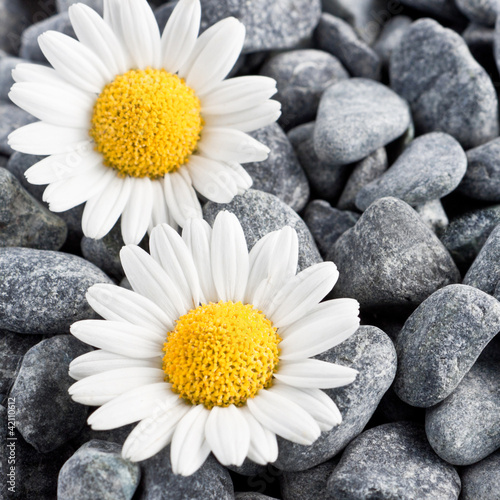 Photo: Wellness Wellness