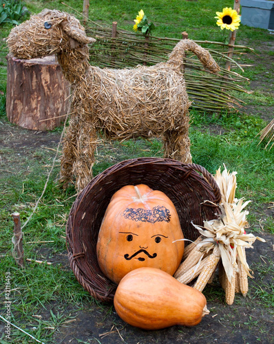 Photo: livestock livestock