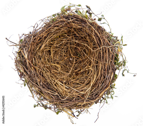 Photo: Leeres Vogelnest Leeres Vogelnest