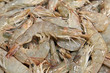 Fresh shrimps at fish market in Seoul