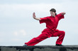 Wushoo man in red practice martial art
