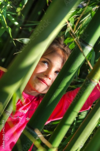 Photo: enfant dans une bambouseraie enfant dans une bambouseraie