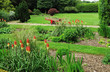 An English Garden with Wheelbarrow