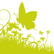 Vector: Grashalme Schmetterling Grashalme Schmetterling