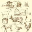 farm