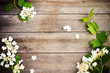 spring flowers on wooden background